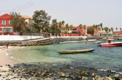 Article : À Dakar et sur l’île de Gorée